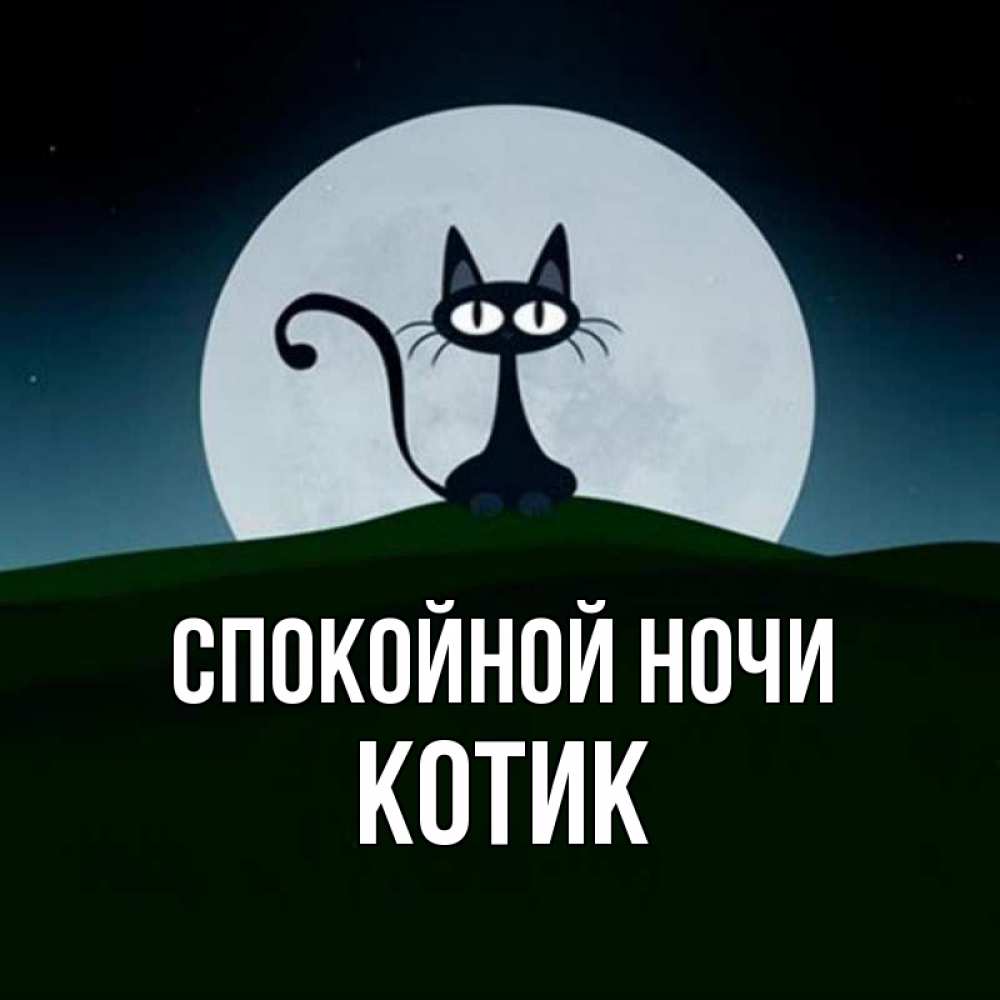 Открытка на каждый день с именем, котик Спокойной ночи хорошо выспаться ночью и без кошмаров Прикольная открытка с пожеланием онлайн скачать бесплатно 