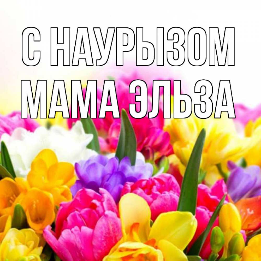 Открытка на каждый день с именем, Мама-Эльза С наурызом тюльпаны Прикольная открытка с пожеланием онлайн скачать бесплатно 