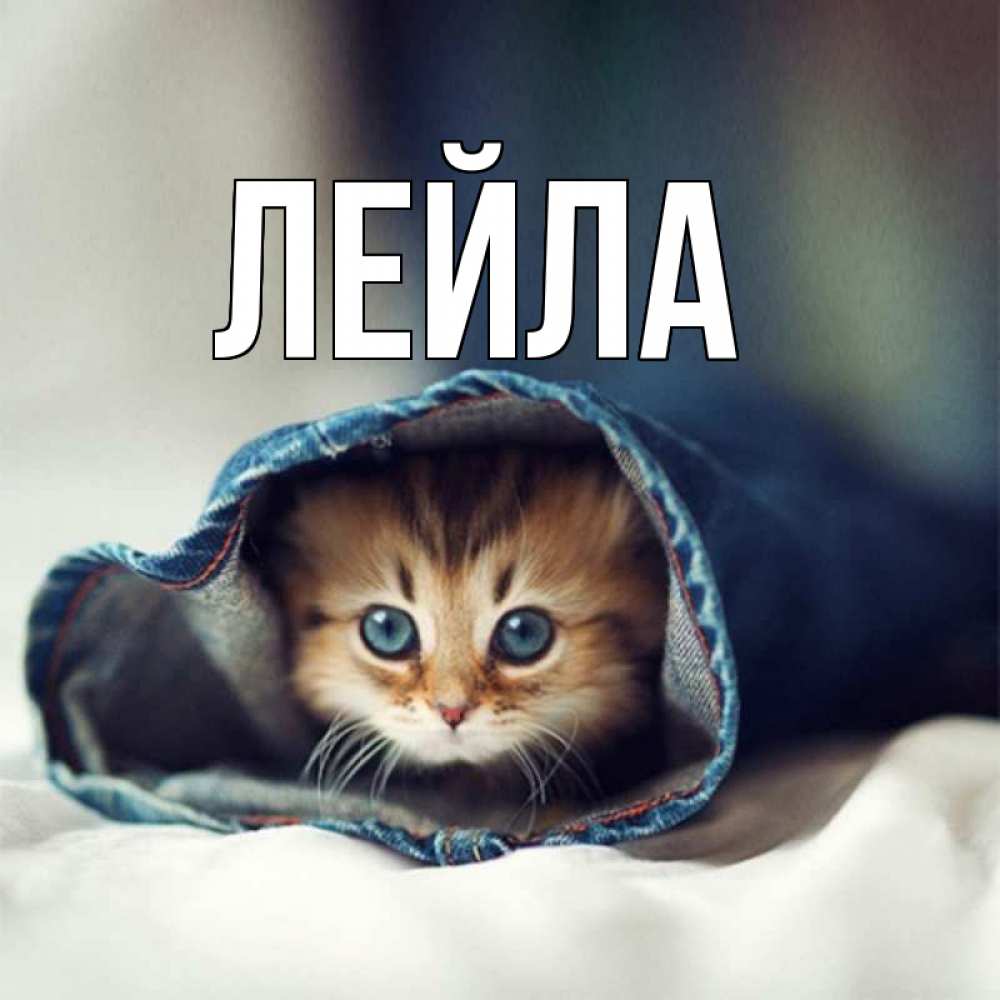 Лейла картинки с надписями