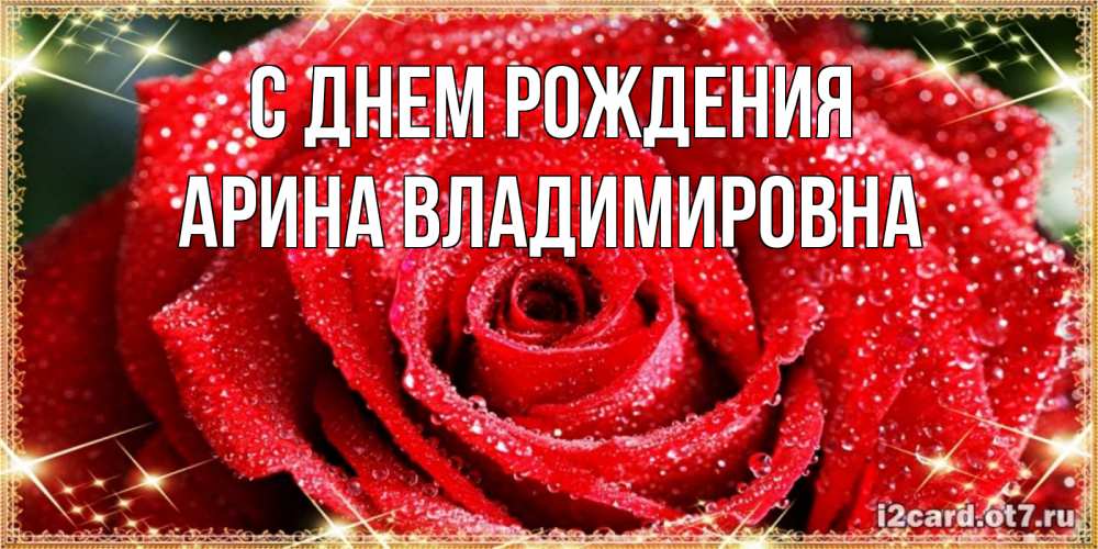 Открытка на каждый день с именем, Арина-Владимировна С днем рождения роса и роза. открытка с красивой розой Прикольная открытка с пожеланием онлайн скачать бесплатно 