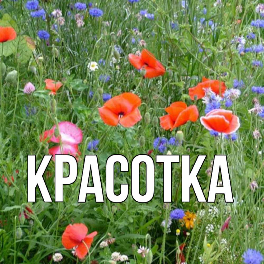 Открытка на каждый день с именем, красотка Главная наурыз  4 Прикольная открытка с пожеланием онлайн скачать бесплатно 