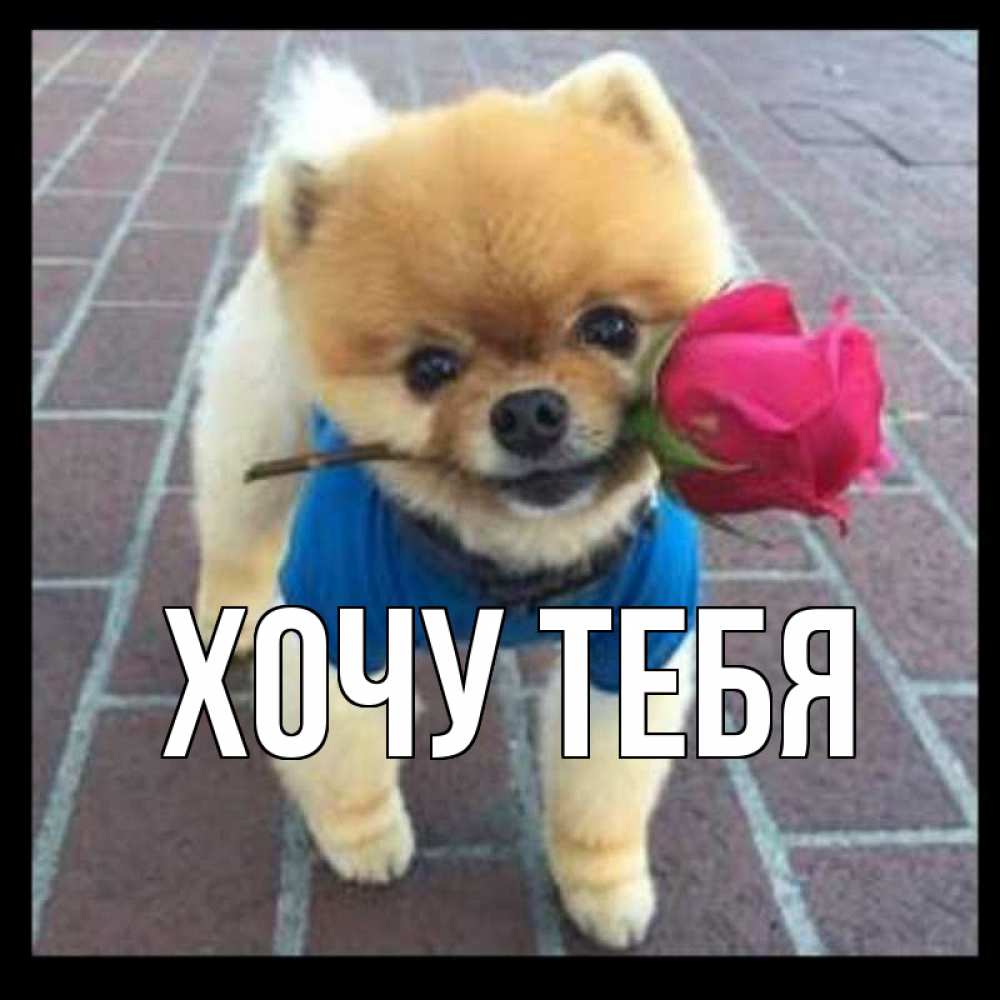 Картинка  с именем , Хочу тебя