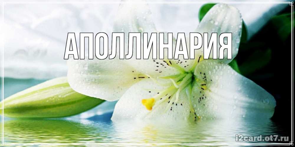 Открытка на каждый день с именем, Аполлинария Главная лилия на открытке ко дню рождения Прикольная открытка с пожеланием онлайн скачать бесплатно 