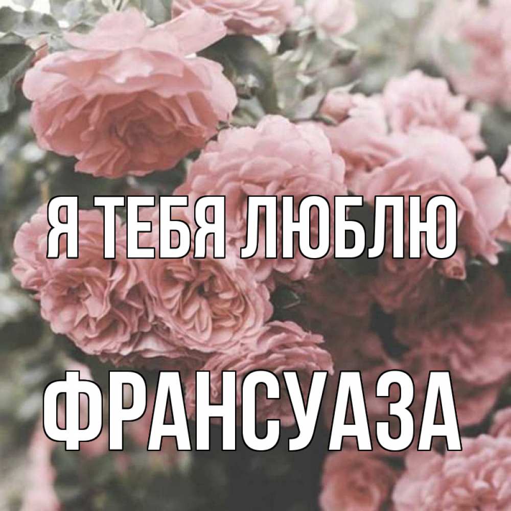 Открытка на каждый день с именем, Франсуаза Я тебя люблю розы 3 Прикольная открытка с пожеланием онлайн скачать бесплатно 