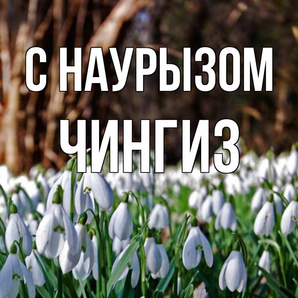 Открытка на каждый день с именем, Чингиз С наурызом с подснежниками 1 Прикольная открытка с пожеланием онлайн скачать бесплатно 
