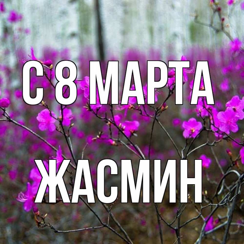 Открытка на каждый день с именем, Жасмин С 8 марта дикие цветы Прикольная открытка с пожеланием онлайн скачать бесплатно 