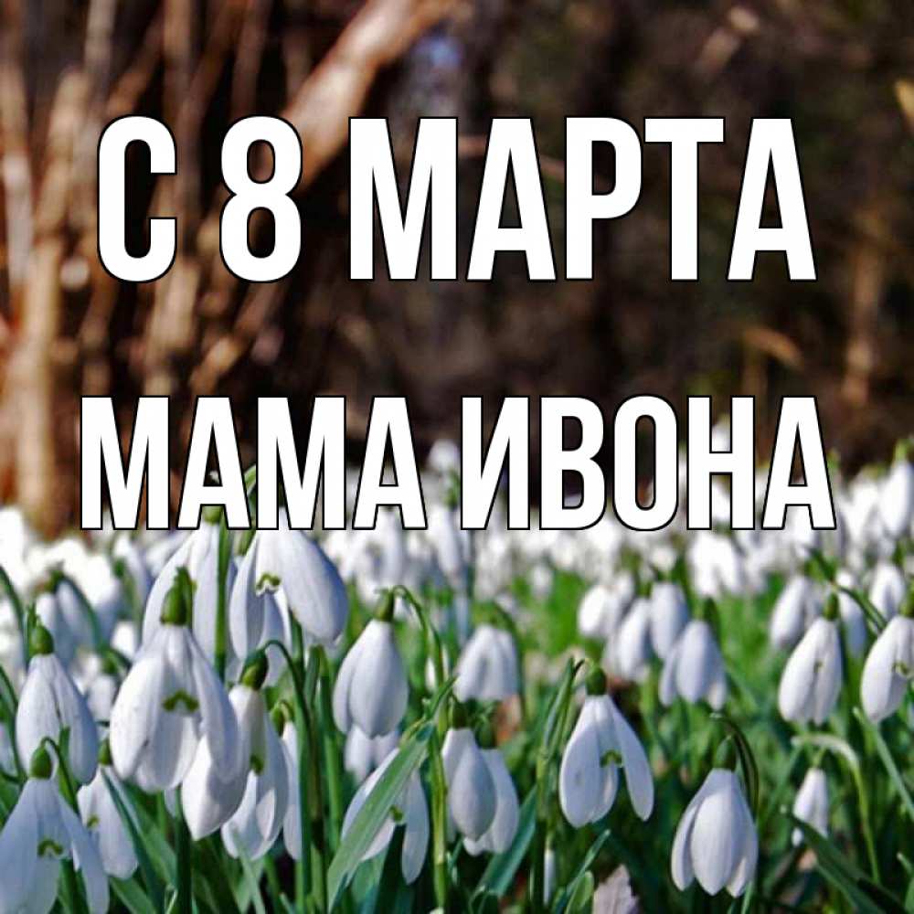 Открытка на каждый день с именем, Мама-Ивона С 8 МАРТА с подснежниками 1 Прикольная открытка с пожеланием онлайн скачать бесплатно 