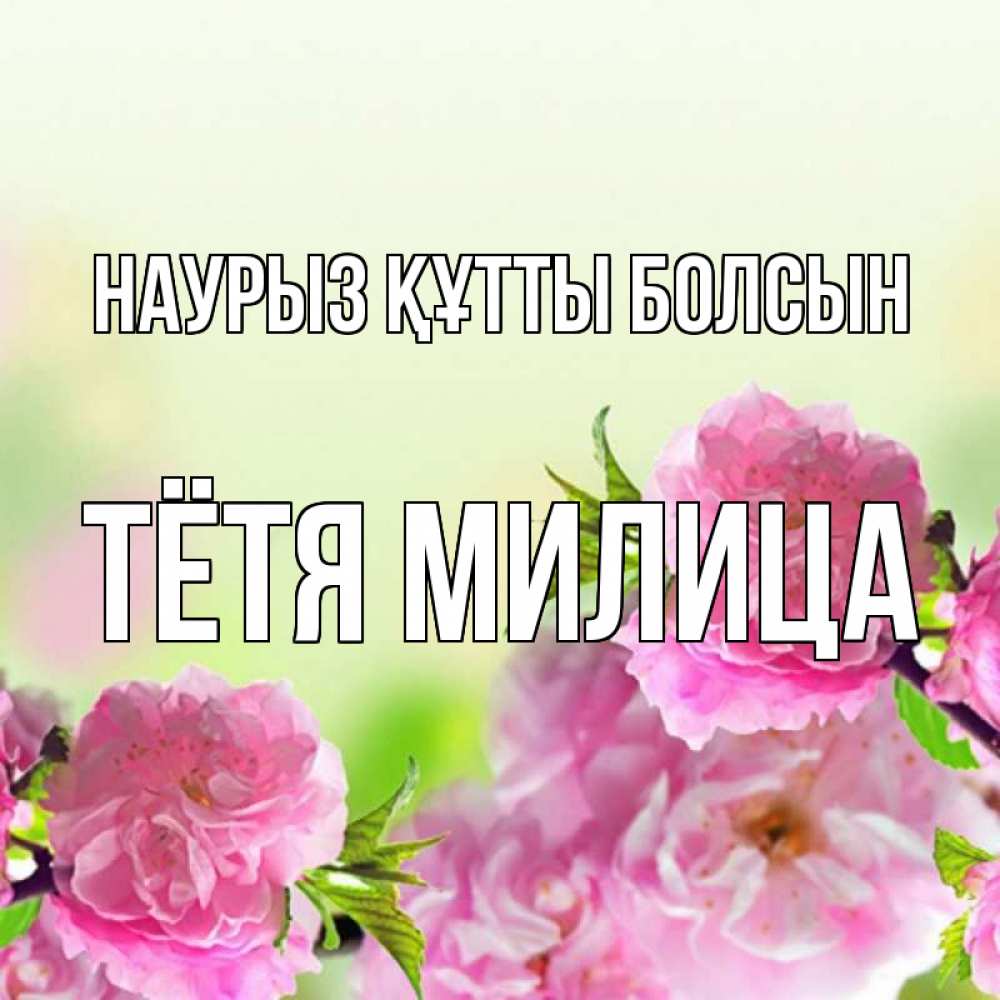 Открытка на каждый день с именем, Тётя-Милица Наурыз құтты болсын цветы Прикольная открытка с пожеланием онлайн скачать бесплатно 