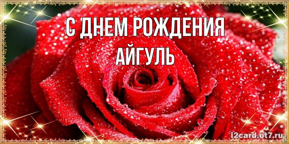 Открытка на каждый день с именем, АЙГУЛЬ С днем рождения роса и роза. открытка с красивой розой Прикольная открытка с пожеланием онлайн скачать бесплатно 