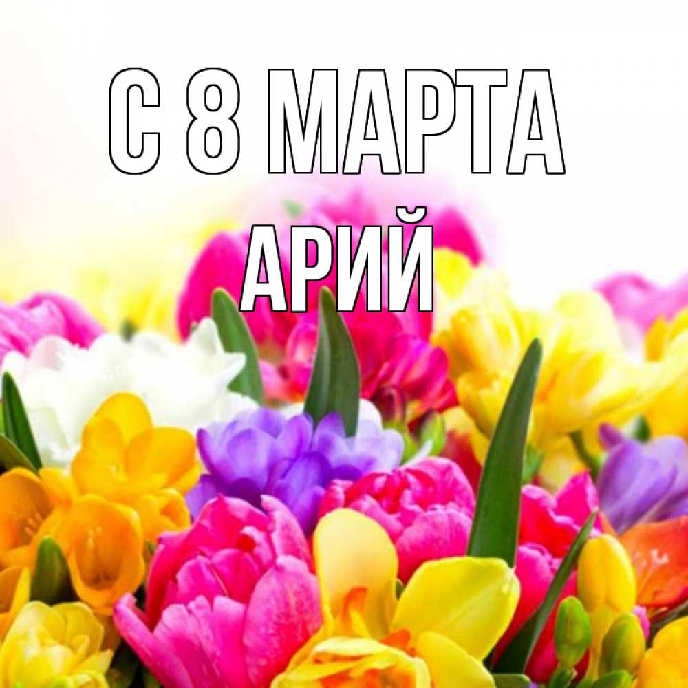 Открытка на каждый день с именем, Арий С 8 МАРТА тюльпаны Прикольная открытка с пожеланием онлайн скачать бесплатно 