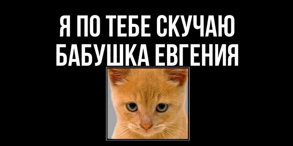 Открытка на каждый день с именем, Бабушка-Евгения Я по тебе скучаю открытки рыжий котенок скучает по тебе Прикольная открытка с пожеланием онлайн скачать бесплатно 
