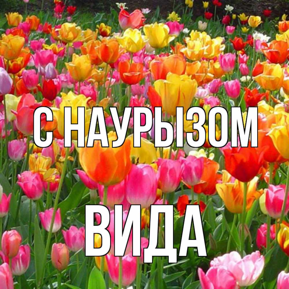 Открытка на каждый день с именем, Вида С наурызом праздник весны наурыз 4 Прикольная открытка с пожеланием онлайн скачать бесплатно 