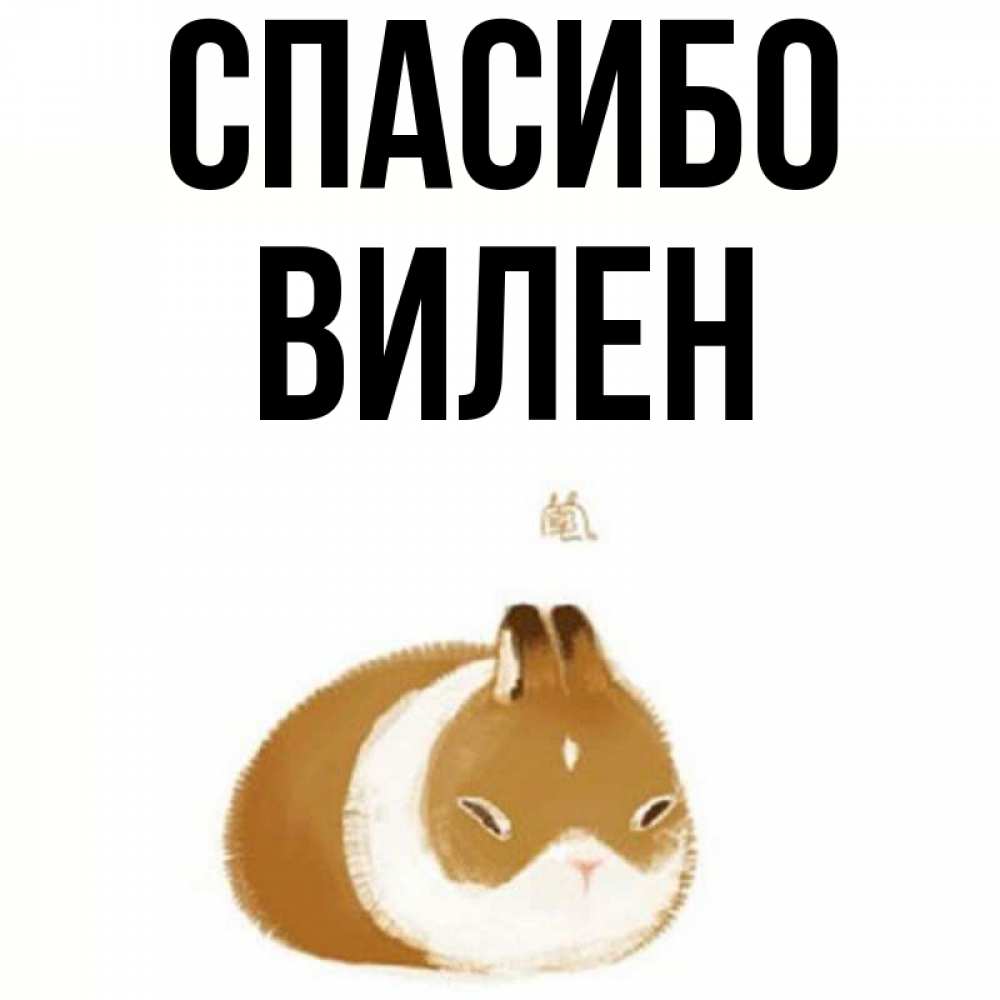 Открытка на каждый день с именем, Вилен Спасибо коричнево белый домашний питомец Прикольная открытка с пожеланием онлайн скачать бесплатно 