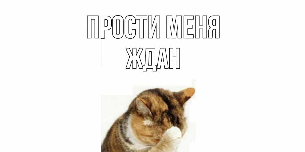 Открытка на каждый день с именем, Ждан Прости меня кот Прикольная открытка с пожеланием онлайн скачать бесплатно 