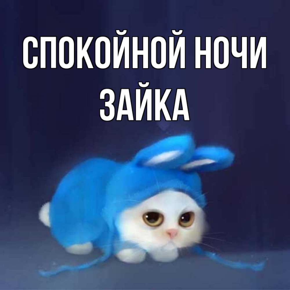 Открытка на каждый день с именем, Зайка Спокойной ночи кот в голубом костюме кролика с ушками Прикольная открытка с пожеланием онлайн скачать бесплатно 