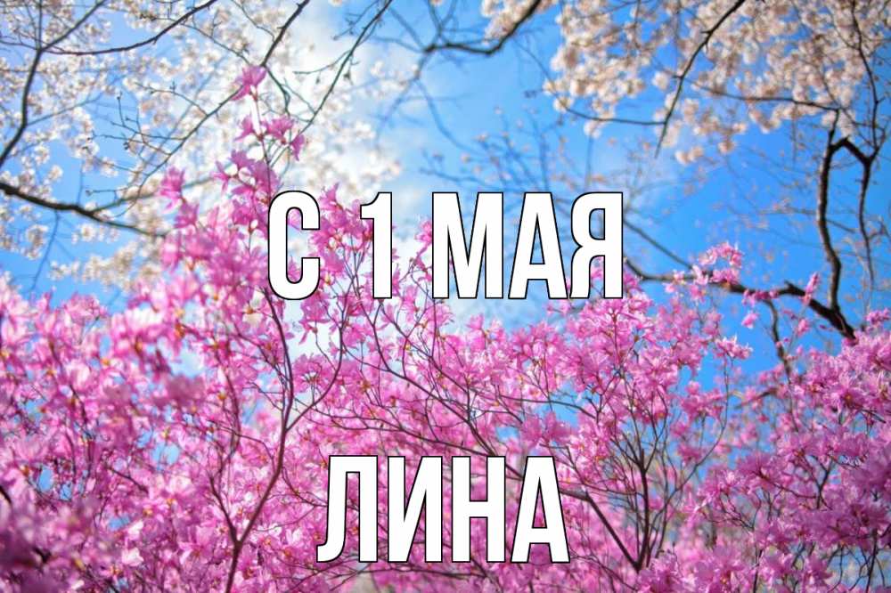 Открытка на каждый день с именем, Лина С 1 мая С 1 мая Прикольная открытка с пожеланием онлайн скачать бесплатно 
