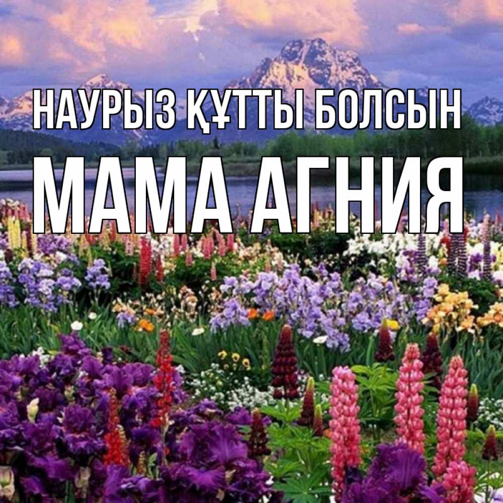 Открытка на каждый день с именем, Мама-Агния Наурыз құтты болсын наурыз Прикольная открытка с пожеланием онлайн скачать бесплатно 