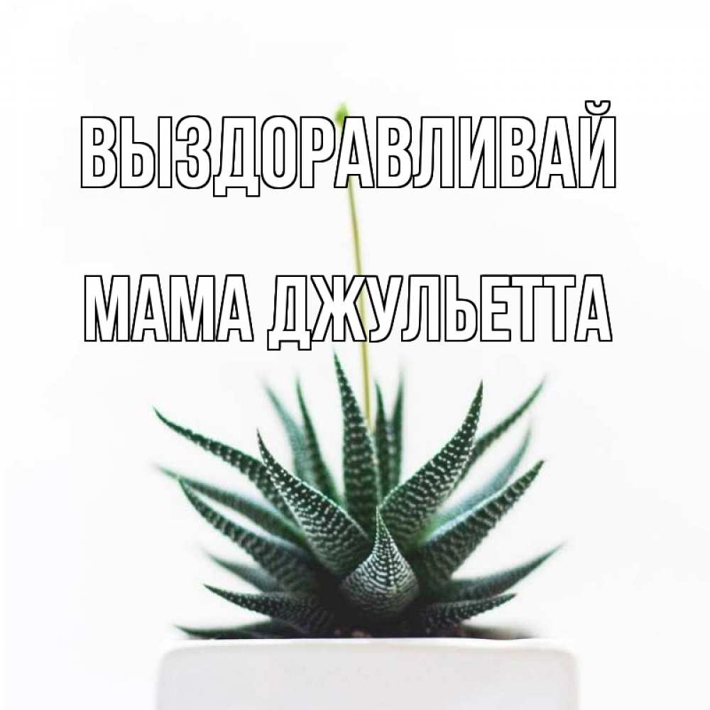 Открытка на каждый день с именем, Мама-Джульетта Выздоравливай короче это непонятная колючка Прикольная открытка с пожеланием онлайн скачать бесплатно 
