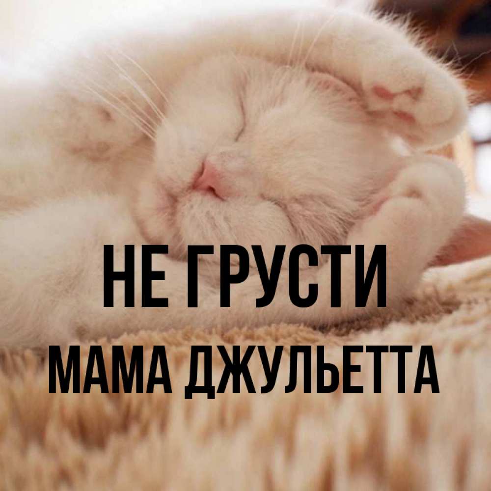 Открытка на каждый день с именем, Мама-Джульетта Не грусти Котенок спит Прикольная открытка с пожеланием онлайн скачать бесплатно 