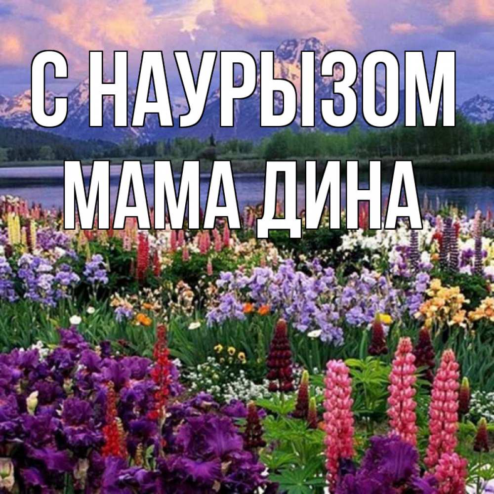Открытка на каждый день с именем, Мама-Дина С наурызом праздник весны наурыз Прикольная открытка с пожеланием онлайн скачать бесплатно 