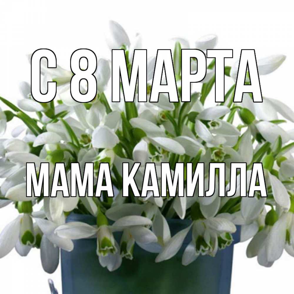 Открытка на каждый день с именем, Мама-Камилла С 8 МАРТА цветы к международному женскому дню Прикольная открытка с пожеланием онлайн скачать бесплатно 