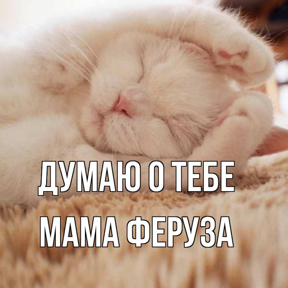 Открытка на каждый день с именем, Мама-Феруза Думаю о тебе для любимой девушки милота Прикольная открытка с пожеланием онлайн скачать бесплатно 