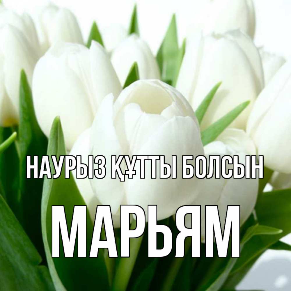 Открытка на каждый день с именем, Марьям Наурыз құтты болсын цветы Прикольная открытка с пожеланием онлайн скачать бесплатно 