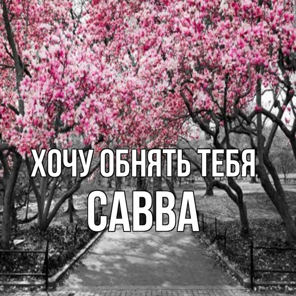 Открытка на каждый день с именем, Савва Хочу обнять тебя обработанное фото Прикольная открытка с пожеланием онлайн скачать бесплатно 