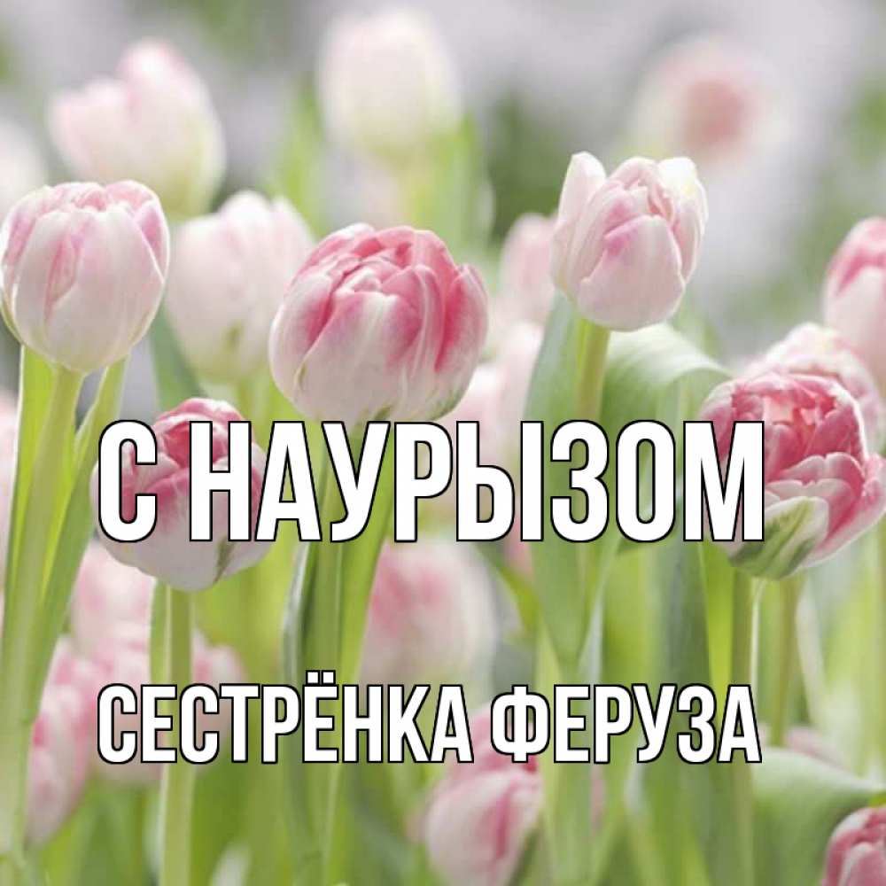 Открытка на каждый день с именем, Сестрёнка-Феруза С наурызом цветы Прикольная открытка с пожеланием онлайн скачать бесплатно 