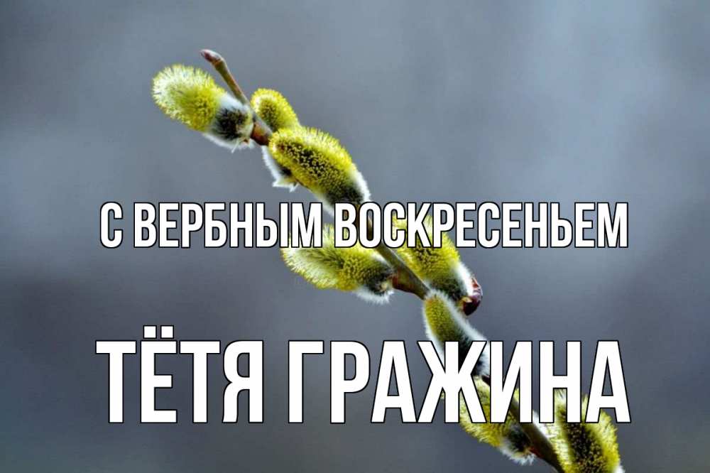 Открытка на каждый день с именем, Тётя-Гражина С вербным воскресеньем верба Прикольная открытка с пожеланием онлайн скачать бесплатно 