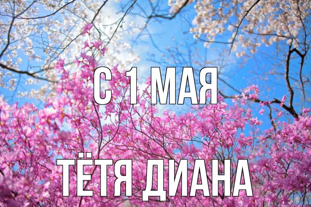 Открытка на каждый день с именем, Тётя-Диана С 1 мая С 1 мая Прикольная открытка с пожеланием онлайн скачать бесплатно 