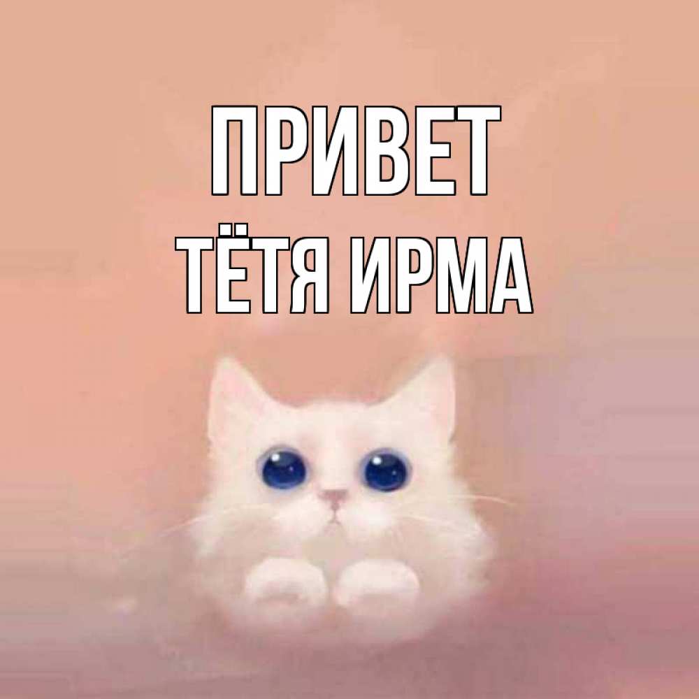 Открытка на каждый день с именем, Тётя-Ирма Привет котик белый в полете Прикольная открытка с пожеланием онлайн скачать бесплатно 