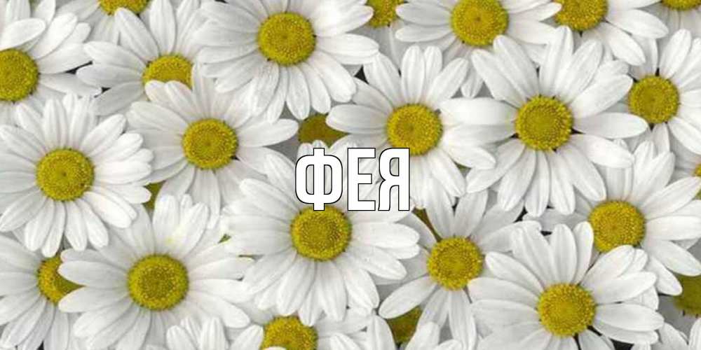 Открытка на каждый день с именем, Фея Главная поляна ромашек Прикольная открытка с пожеланием онлайн скачать бесплатно 