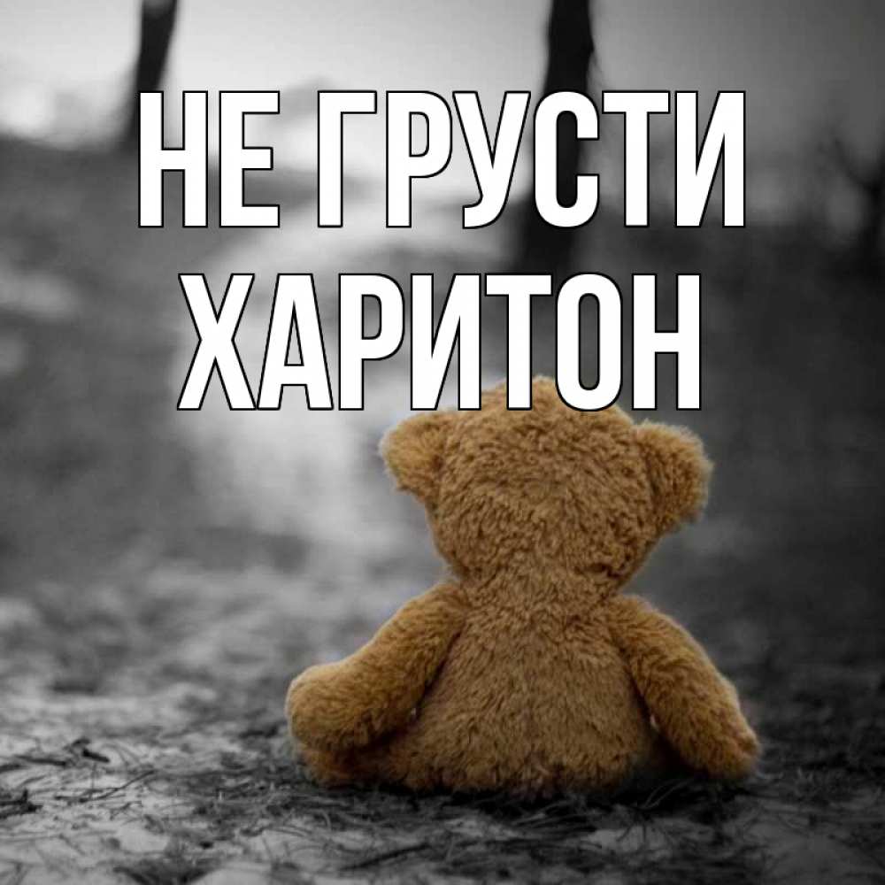 Открытка на каждый день с именем, Харитон Не грусти медведь со спин Прикольная открытка с пожеланием онлайн скачать бесплатно 