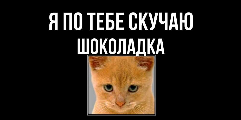 Открытка на каждый день с именем, Шоколадка Я по тебе скучаю открытки рыжий котенок скучает по тебе Прикольная открытка с пожеланием онлайн скачать бесплатно 