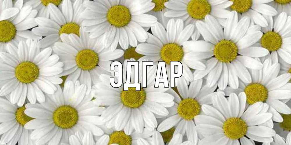 Открытка на каждый день с именем, Эдгар Главная поляна ромашек Прикольная открытка с пожеланием онлайн скачать бесплатно 