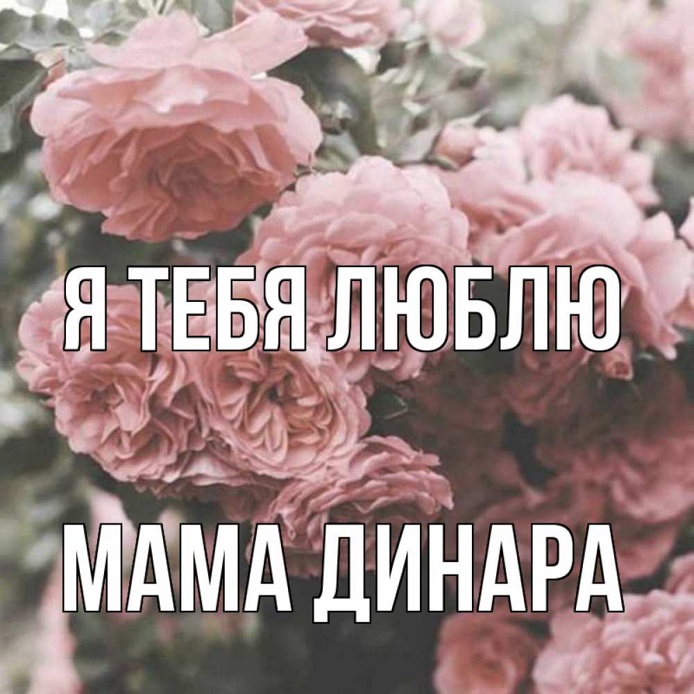 Открытка на каждый день с именем, Мама-Динара Я тебя люблю розы 3 Прикольная открытка с пожеланием онлайн скачать бесплатно 