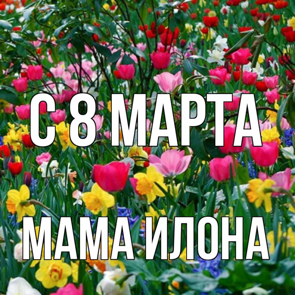Открытка на каждый день с именем, Мама-Илона С 8 марта с международным женским днем поздравления для женщины Прикольная открытка с пожеланием онлайн скачать бесплатно 