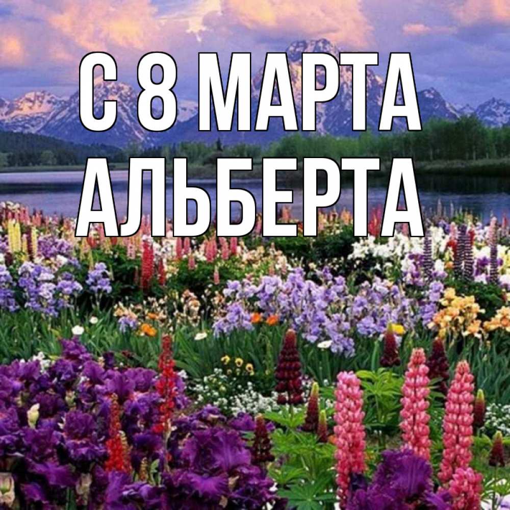Открытка на каждый день с именем, Альберта С 8 МАРТА международный женский день Прикольная открытка с пожеланием онлайн скачать бесплатно 