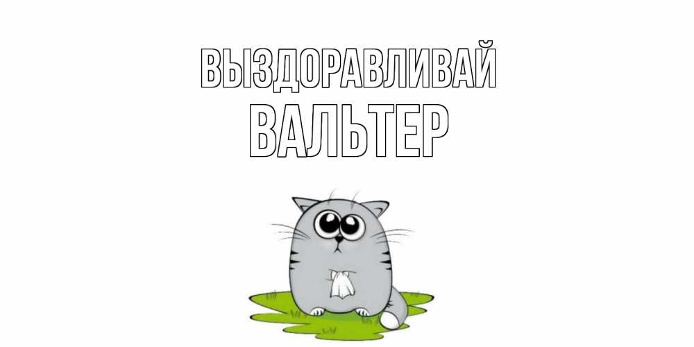 Открытка на каждый день с именем, Вальтер Выздоравливай кот и открытки про выздоровление Прикольная открытка с пожеланием онлайн скачать бесплатно 