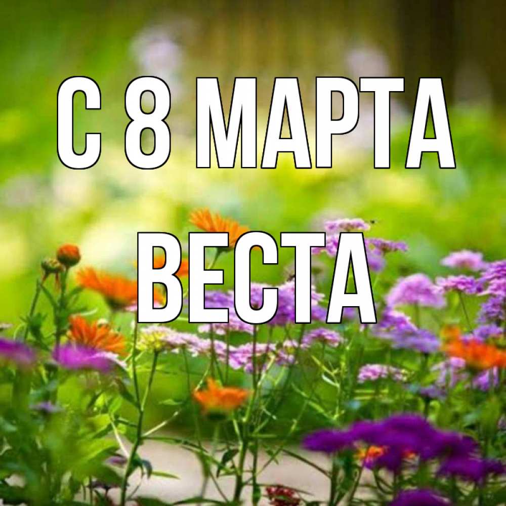 Открытка на каждый день с именем, Веста С 8 МАРТА цветы Прикольная открытка с пожеланием онлайн скачать бесплатно 