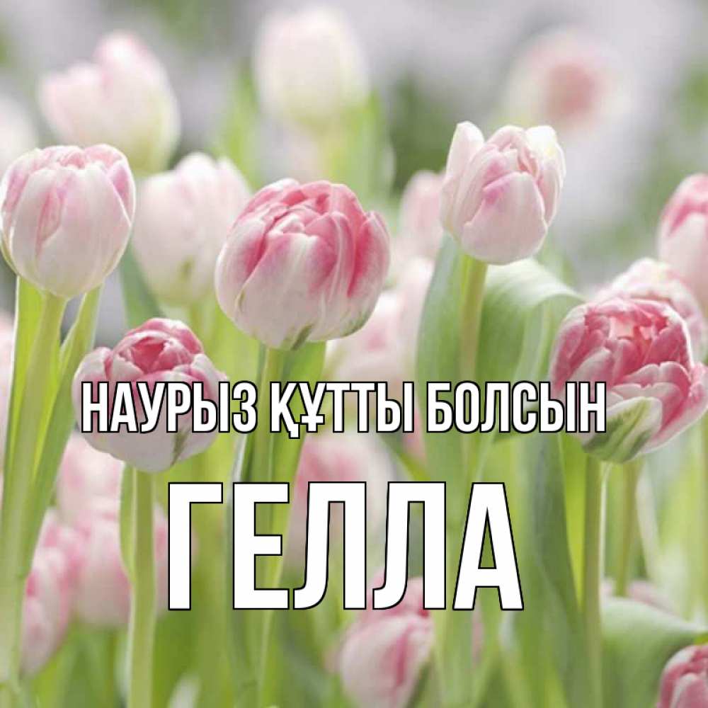 Открытка на каждый день с именем, Гелла Наурыз құтты болсын цветы Прикольная открытка с пожеланием онлайн скачать бесплатно 