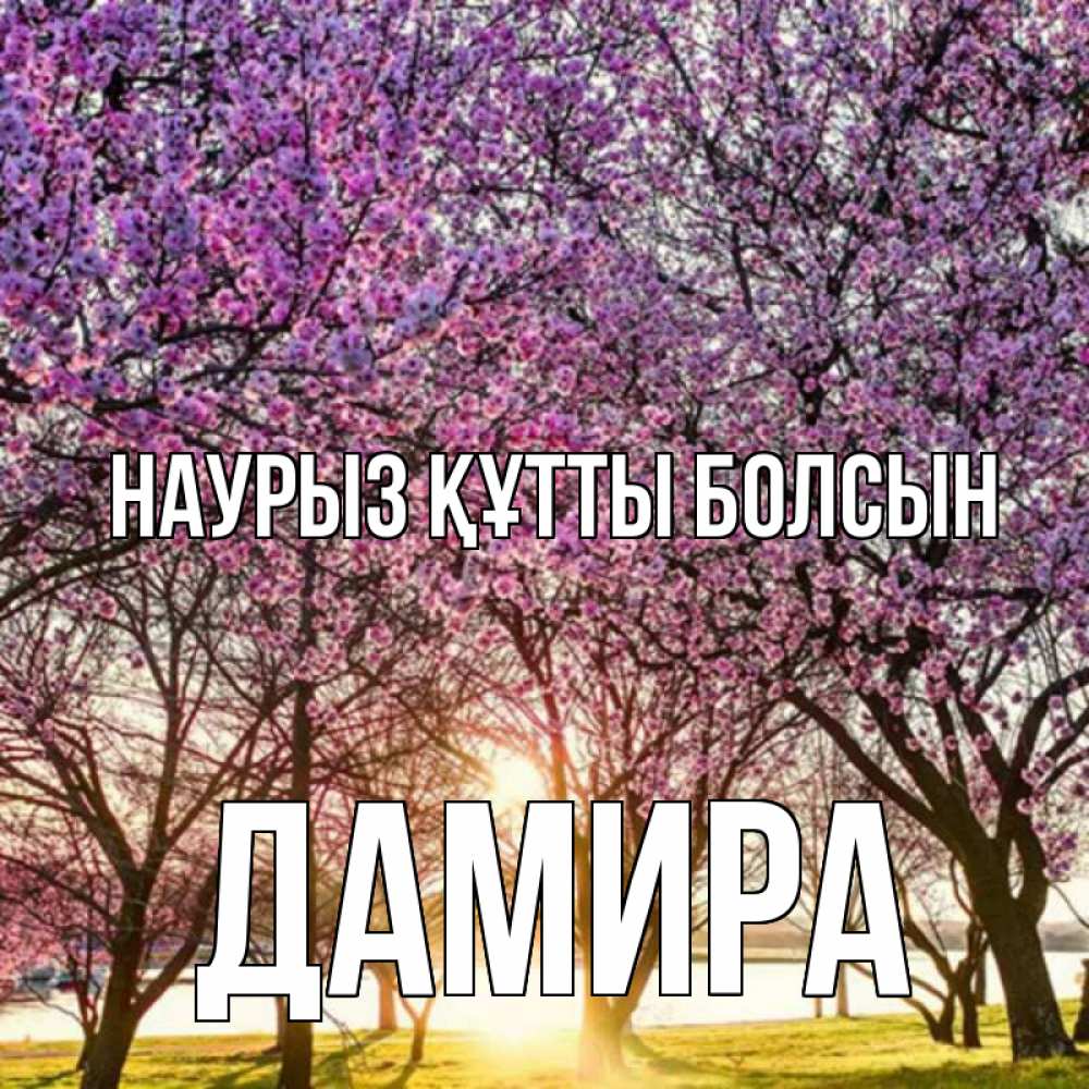 Открытка на каждый день с именем, Дамира Наурыз құтты болсын наурыз Прикольная открытка с пожеланием онлайн скачать бесплатно 