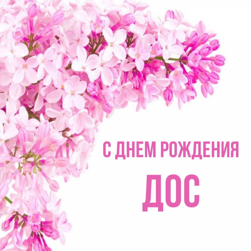 Открытка на каждый день с именем, Дос С днем рождения Сирень на белом фоне Прикольная открытка с пожеланием онлайн скачать бесплатно 