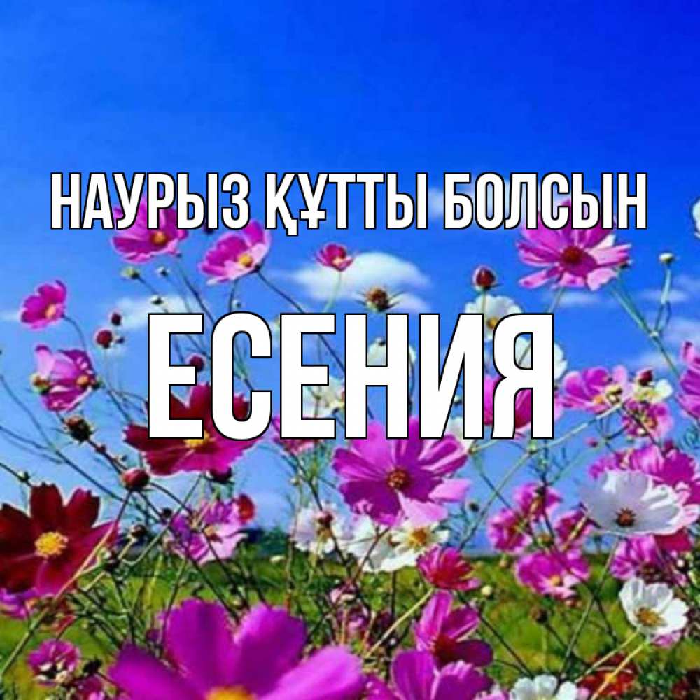 Открытка на каждый день с именем, Есения Наурыз құтты болсын цветы Прикольная открытка с пожеланием онлайн скачать бесплатно 