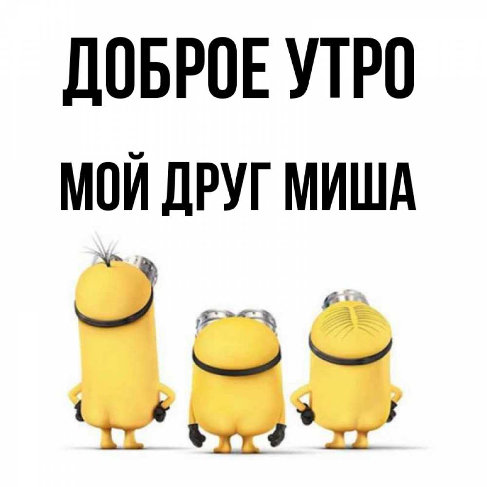 
Миша Доброе Утро