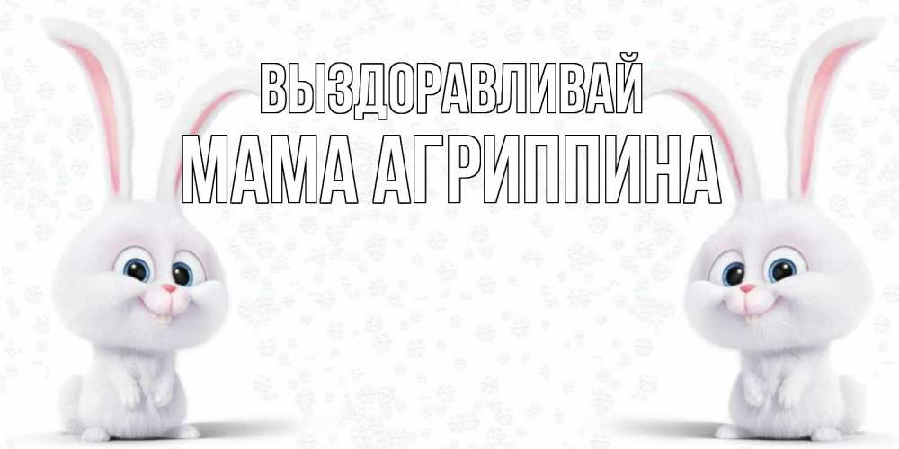 Открытка на каждый день с именем, Мама-Агриппина Выздоравливай не болей с зайцем Прикольная открытка с пожеланием онлайн скачать бесплатно 