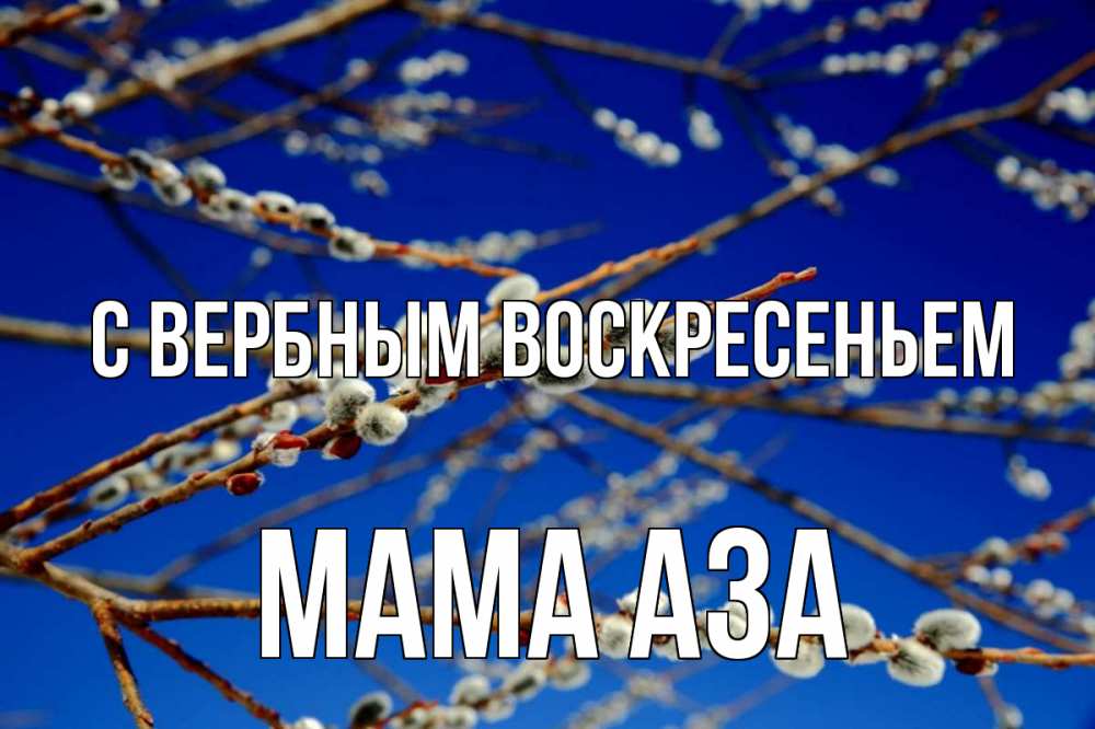 Открытка на каждый день с именем, Мама-Аза С вербным воскресеньем верба Прикольная открытка с пожеланием онлайн скачать бесплатно 