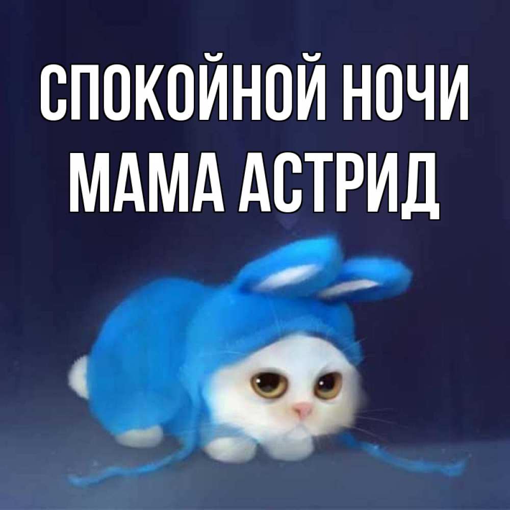 Открытка на каждый день с именем, Мама-Астрид Спокойной ночи кот в голубом костюме кролика с ушками Прикольная открытка с пожеланием онлайн скачать бесплатно 
