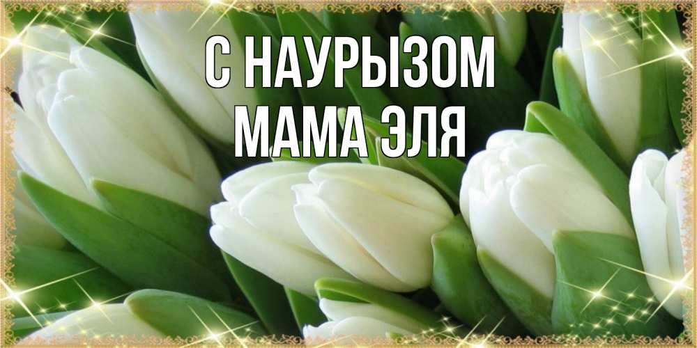 Открытка на каждый день с именем, Мама-Эля С наурызом поздравляем с праздник весны наурыз Прикольная открытка с пожеланием онлайн скачать бесплатно 